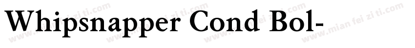 Whipsnapper Cond Bol字体转换